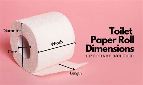 toilet paper roll circumference|toilet paper size chart.